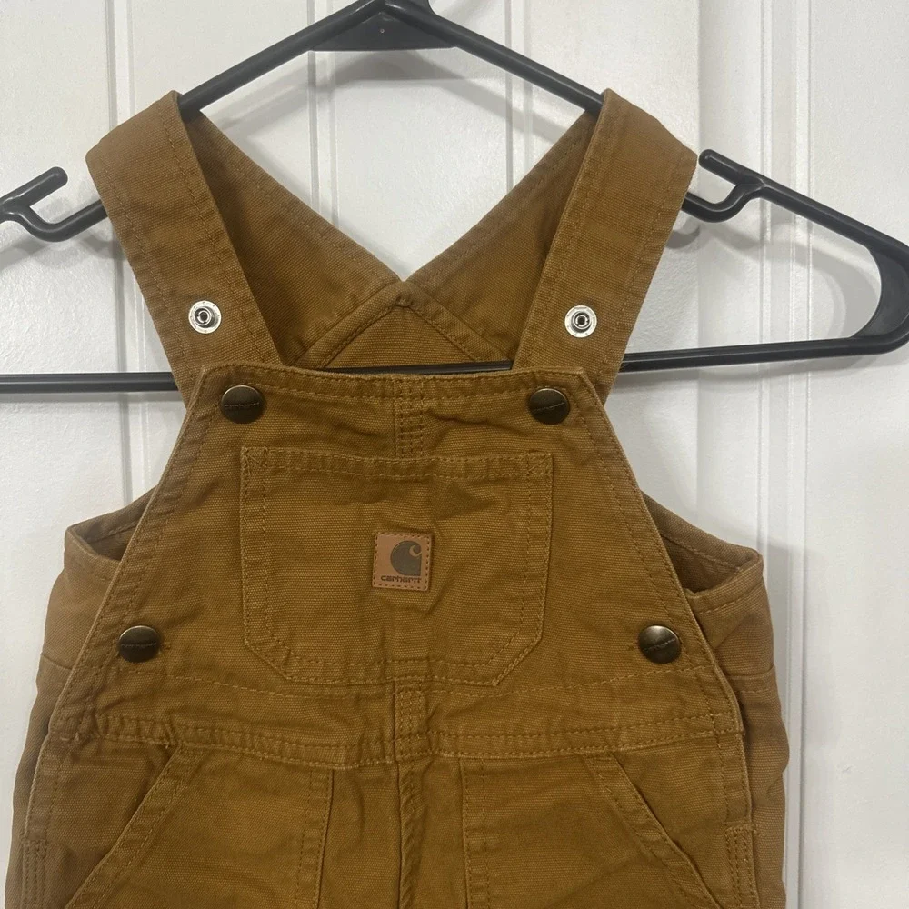 Carhartt these overalls
